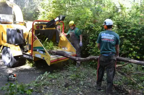 tree services Tuskegee